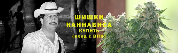ПСИЛОЦИБИНОВЫЕ ГРИБЫ Балабаново