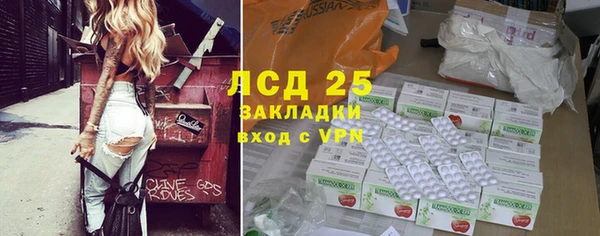 ПСИЛОЦИБИНОВЫЕ ГРИБЫ Балабаново