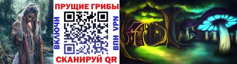 хочу наркоту Купино Галлюциногенные грибы MAGIC MUSHROOMS